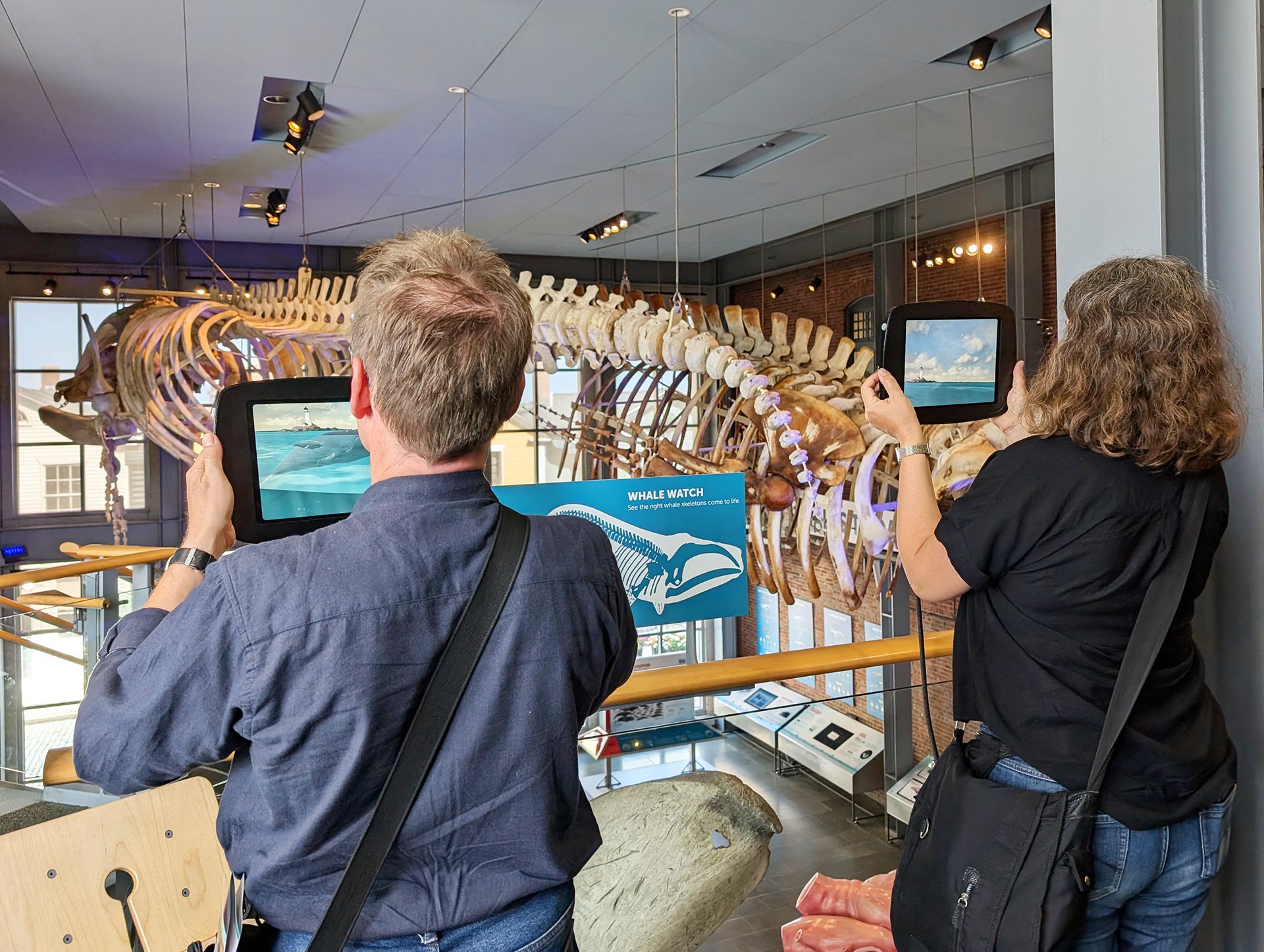 A man and a woman hold two iPads up to a sign and watch an augmented reality animation of a whale.