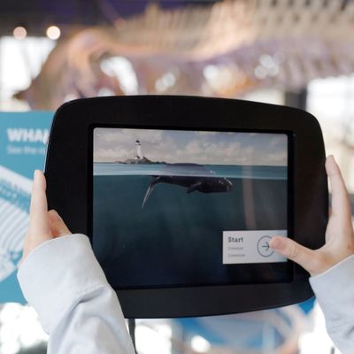 A museum visitor holds an iPad up to a sign, revealing a video of a whale.