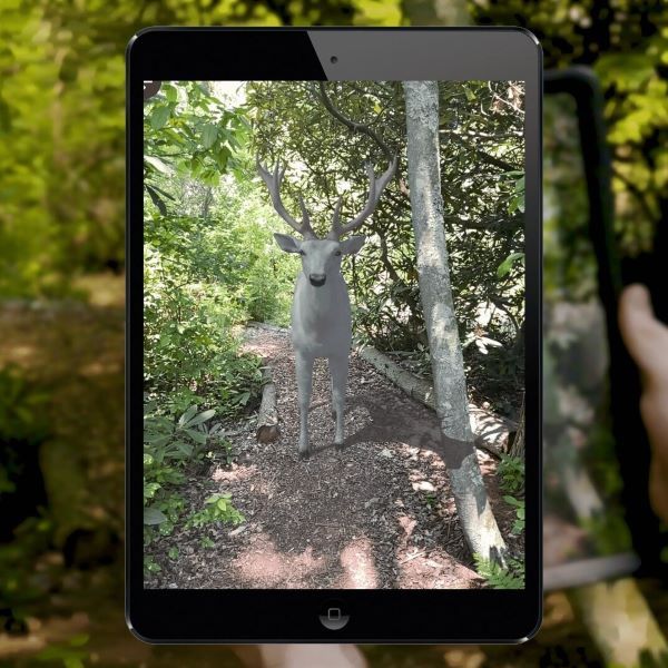A tablet being held up to show an AR deer.